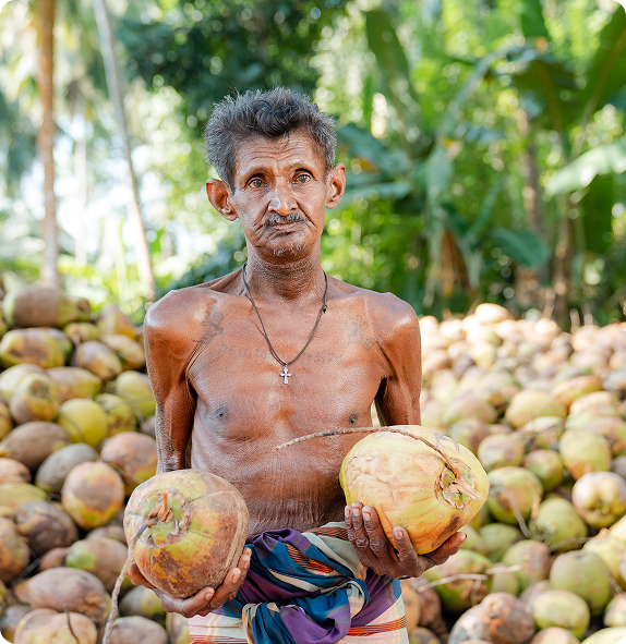Coconut farmer
