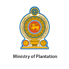 Ministry of Plantation