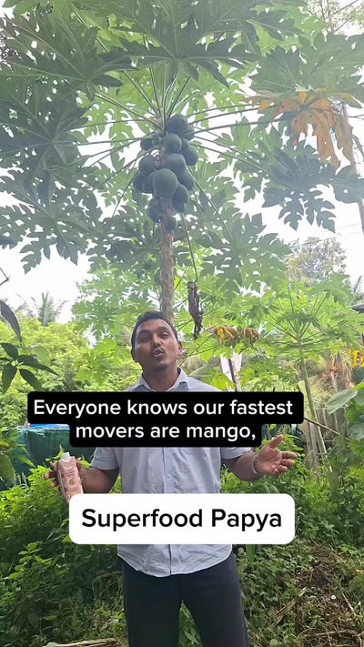 Nootz Papaya TikTok video