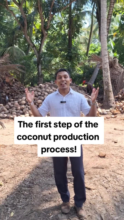 Nootz coconut production TikTok video