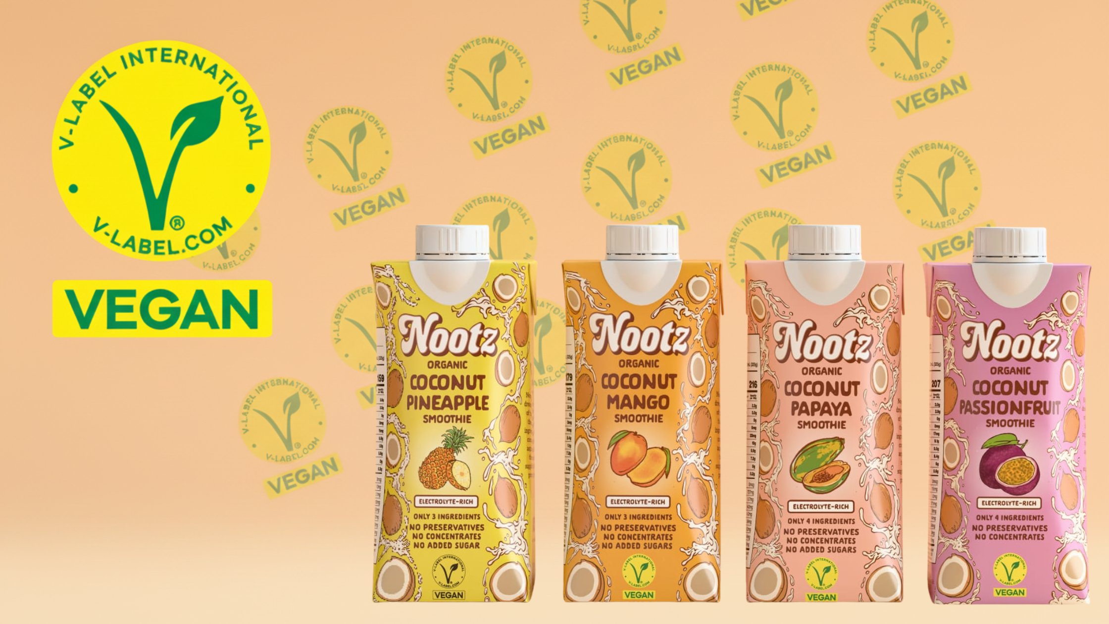 Nootz v-label vegan coconut milk smoothie benefits